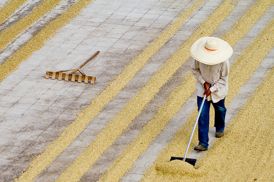 Oregon Coffee Board Photo Contest Winner Will Go to Colombia