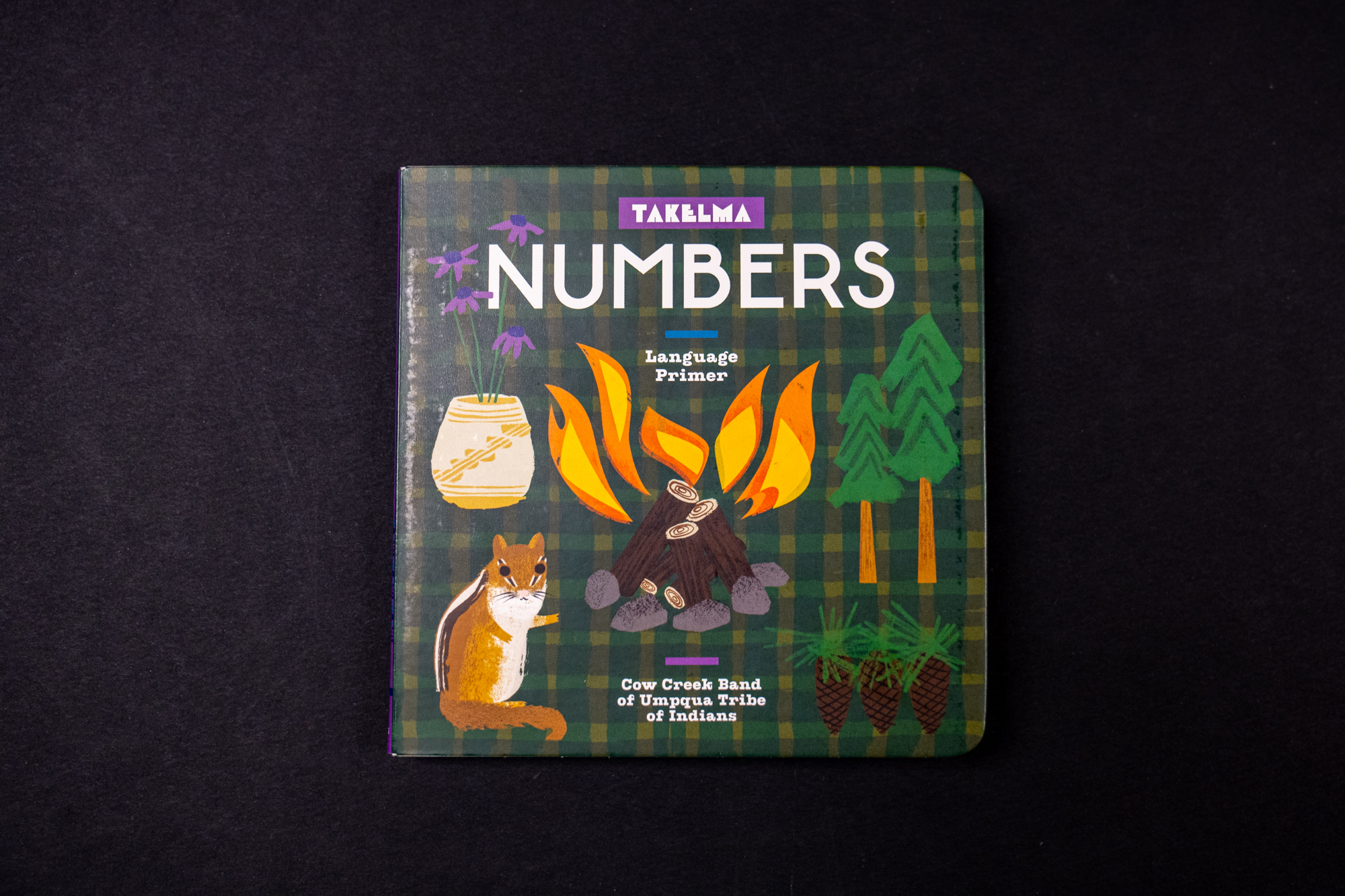 Takelma Picture Book - Numbers